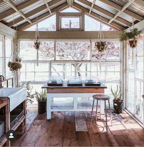 Shed Inspiration, Greenhouse Shed, Funky Junk Interiors, Encouraging Words, Backyard Greenhouse, Potting Sheds, She Sheds, Potting Shed, She Shed