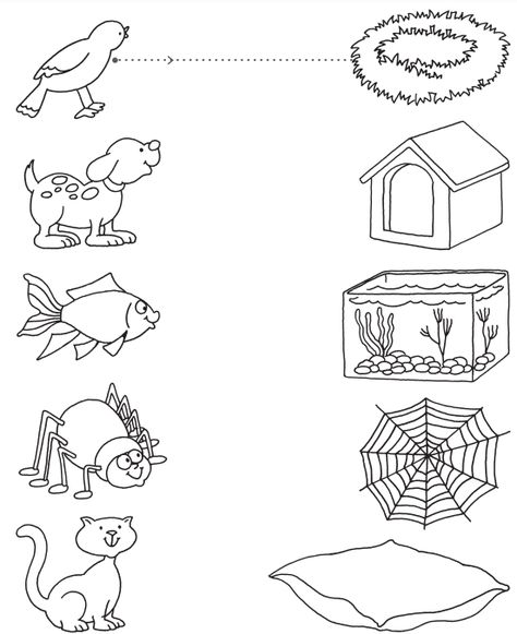 Free printable science worksheets for Preschools - Animals 16 Nature Preschool Worksheets, Lkg Science Worksheets, Fun Preschool Worksheets Free Printable, Worksheet On Animals For Kindergarten, Nocturnal Animals Preschool Worksheets, Preschool Science Printables, Prek Science Worksheets, Easy Worksheets For Kids, Pet Activity For Preschoolers