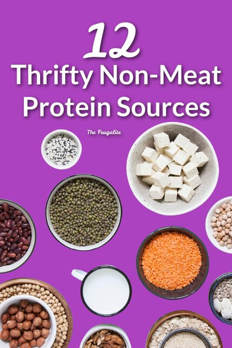 Non Meat Protein Sources, Dry Beans Recipe, Cheap Protein, Make Your Own Yogurt, Vegan Protein Sources, Cheap Meat, Pure Protein, Meat Alternatives, Food Club