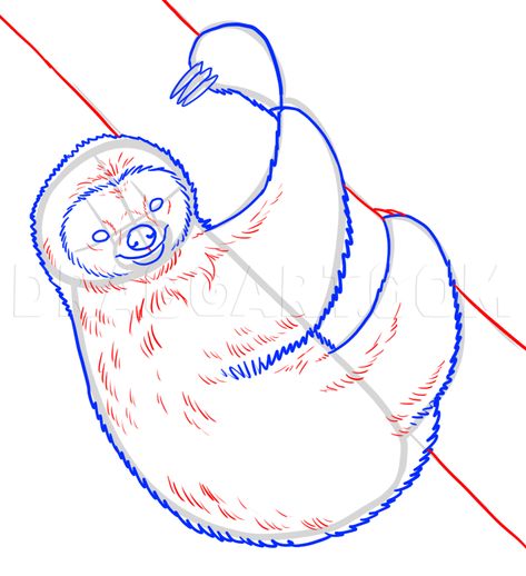 Sloth Sketch, Sloth Drawing, Sloth Tattoo, Sloth Art, A Sloth, One Line Drawing, Guided Drawing, Animal Sketches, Drawing Videos