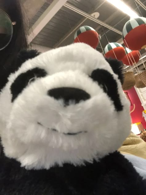 Panda Emoji, Panda Teddy Bear, Panda Stuffed Animal, Panda Store, Ikea Toys, Profile Ideas, I Love My Friends, Silly Animals, Cute Stuffed Animals