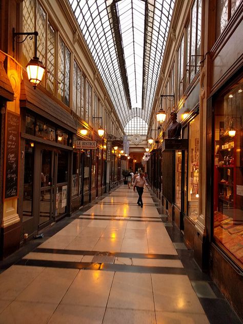 Passage Verdeau Paris, Paris Hidden Gems, Covered Walkway, Paris Travel Tips, Historical Landmarks, Hotel Interiors, City Design, Travel Goals, Paris Travel