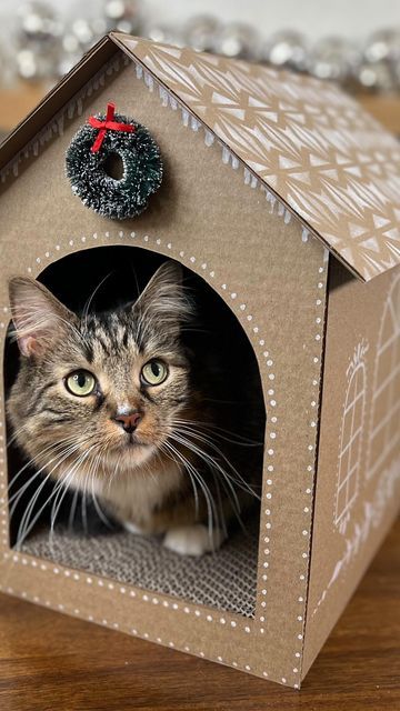 Diy Cat Gingerbread House, Gingerbread Cat House, Cat Gingerbread House, Cat Gingerbread, Gingerbread Cat, Ginger Bread House Diy, Cardboard Cat House, Cardboard Cat, Gingerbread Diy