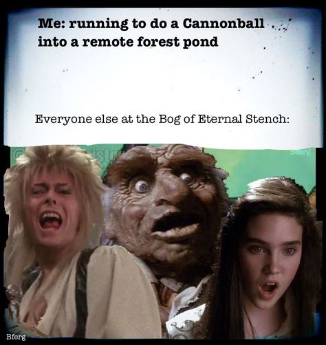 Labyrinth Bog Original Memes, Hunting Fishing, Labyrinth, David Bowie, Funny Things, Movies Showing, Everyone Else, Hunting, Fishing