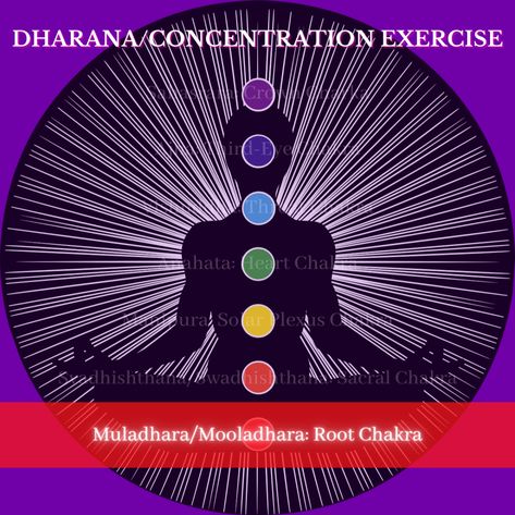 Root Chakra Awareness | Dharana/Concentration Exercise Day 1 Eightfold Path, Muladhara Chakra, Learning Development, Yoga Sutras, Yoga Philosophy, Self Realization, Learning And Development, Spiritual Wisdom, Root Chakra