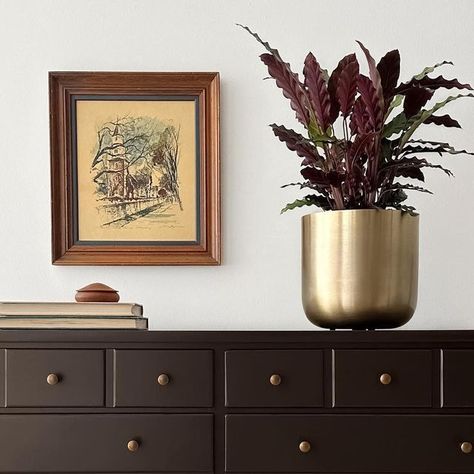 Sara Levitch on Instagram: "What better way to welcome the new Fall season than a rich, chocolatey dresser makeover 🍫 The hallmark clean lines of this vintage Ethan Allen era can accommodate many different design styles. Painted @benjaminmoore Bittersweet Chocolate and paired with modern, aged-brass knobs, this chest of drawers immediately adds a level of refinement and sophistication to the bedroom. Swipe over for the before photo 👉🏼 Available locally, Bethesda 20814 DM for inquiries #popsal Chest Of Drawers Bedroom, Different Design Styles, Dresser Makeover, Bittersweet Chocolate, Brass Knobs, Ethan Allen, Bedroom Paint, Design Styles, Aged Brass