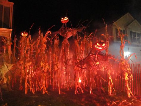 Peterson Pumpkin Patch - Photo 140 | Jim Trottier | Flickr Patch Aesthetic, Scary Halloween Decorations Outdoor, Halloween Diy Outdoor, Halloween Outside, Halloween Scarecrow, Scary Halloween Decorations, Scary Pumpkin, Halloween Yard, Halloween Haunted Houses