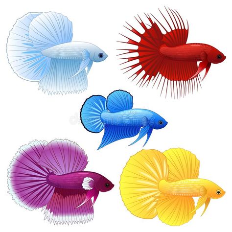 Cartoon betta fish. stock illustration Cute Betta Fish, Fish Cartoon Images, Fish Dress, Freshwater Aquarium Fish, Fish Stock, Fish Illustration, Freshwater Aquarium, Betta Fish, Aquarium Fish