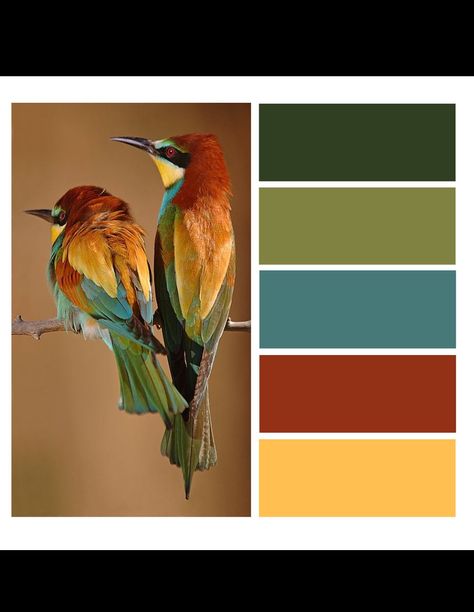 Birds Color Palette, Terracotta Interior Design Color Schemes, Green And Rust Color Palette, Craftsman Paint Colors, Couleur Feng Shui, Rust Color Schemes, Terracotta Interior Design, Mustard Color Scheme, Paint Color Combos