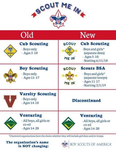 Yay Scouts BSA! Cub Scout Law, Cub Scout Games, Family Template, Diy Water Bottle Labels, Scout Games, Newsletter Design Templates, Scouts Bsa, Baby Shower Planner, Tutoring Business