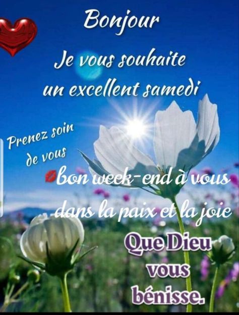 Bon Mardi, Beautiful Good Night Quotes, Weekend Quotes, Bon Weekend, Fresh Flowers Arrangements, French Quotes, Night Quotes, Good Night Quotes, Week End