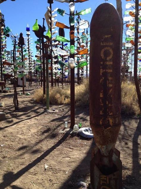 Bottle Tree Ranch...Apple Valley, California Apple Valley California, Wonder Valley, Bottle Tree, High Desert, Island Vacation, Moving Out, Best Vacations, Cali, More Fun