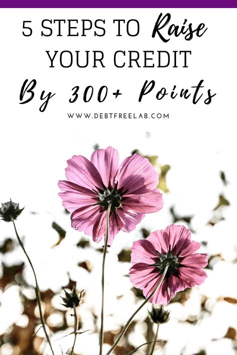 5 Steps to raise your credit score by 300+ points. Discover the best ways to quickly increase your credit score. Learn the strategies I used to boost my credit score up by 300+ points. If you're looking for tips on how to build your credit score, or you just want to improve your credit score quickly, check out this post! #ceditscoretips #creditscore #improvecreditscore #creditscorehacks #repaircreditscore Debt Printable, Build Your Credit Score, Boost Credit Score, Credit Score Tips, Pay Credit Card, Credit Building, Checking Accounts, Credit Repair Tips, Repair Credit