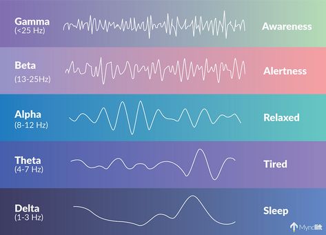 Delta Brain Waves, 7hz Theta Waves, Alpha Brain Waves, Different Frequencies, Sound Frequency Waves, Brain Frequencies, Brain Frequency, Brainwave Frequencies, Hz Frequencies