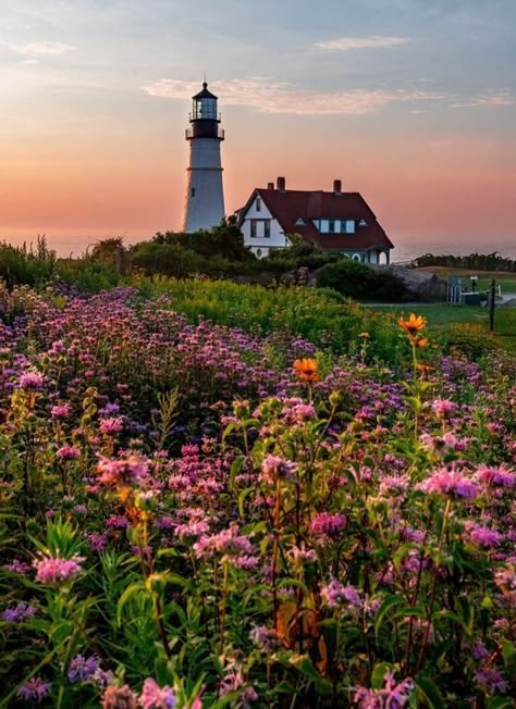 Maine Aesthetic, Summer In Maine, Cape Elizabeth Maine, A Light In The Darkness, Fisherman Aesthetic, Crosby Stills, Cape Elizabeth, New England Road Trip, Lake Ideas