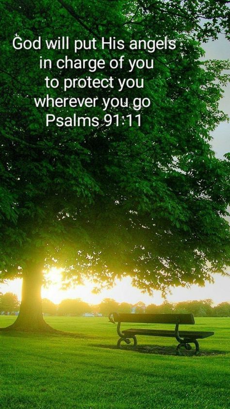 New Testament Quotes, Bible Verses About Nature Beauty, Scripture About Natures Beauty, God’s Promises Verses, Psalm 17:8 Scriptures, Psalms 150:6 Praise God, Biblical Quotes Inspirational, Motivational Bible Verses, Bible Verses Kjv