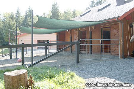 Sun Shade Simple Horse Barns, Mud Management, Pasture Management, Paddock Trail, Horse Shed, Horse Farm Ideas, Horse Paddock, Barn Hacks, Horse Barn Ideas Stables