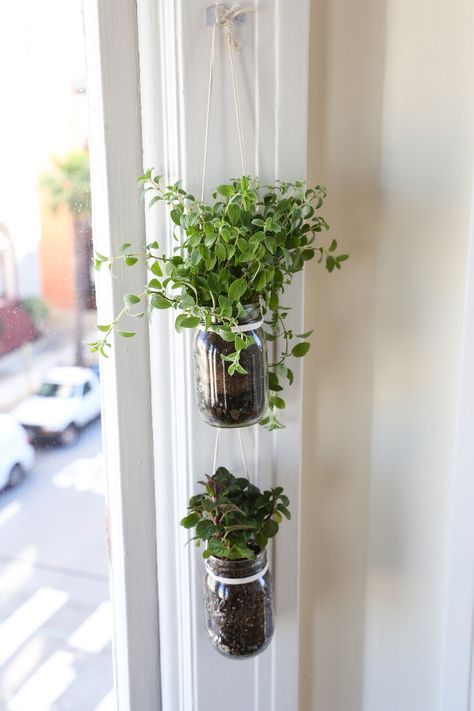 Herbs In Pots Kitchen, Mason Jar Planter Ideas, Hanging Mason Jars With Twine, Small Garden Diy Ideas, Jar Herb Garden, Mason Jar Plants, Indoor Herb Garden Diy, Window Herb Garden, Mason Jar Garden