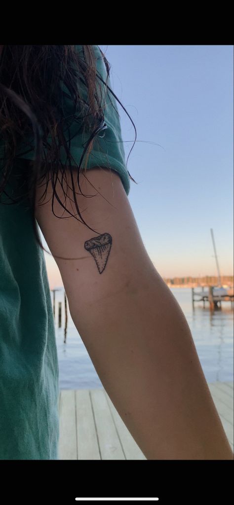 Shark Took Tattoo, Boho Nature Tattoo, Womens Shark Tattoo, Women Shark Tattoo, Small Shark Tattoo For Women, Sharks Tooth Tattoo, Shark Henna Tattoo, Tiny Shark Tattoo, Small Stingray Tattoo