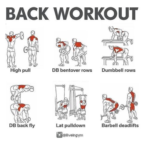 Fitness | Nutrition | Training on Instagram: “✅Back Workout 🔥 • SAVE FOR YOUR BACK DAY💪! . Follow us for more ❤️ - What’s your favourite muscle group to workout? ➖➖➖➖➖➖➖➖➖➖…” Muscle Groups To Workout, Back Workout Bodybuilding, Back Workout Men, Dumbbell Back Workout, Pull Day Workout, Gym Back Workout, Back Workout Routine, Back And Bicep Workout, Simple Workouts