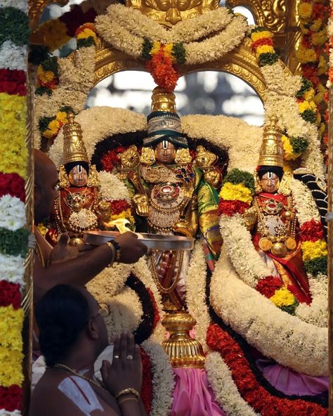 Sri Malayappa swamy swarna rathouthsavam tirumala Malayappa Swamy, Instagram