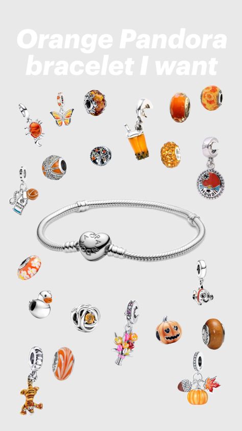 I probably can’t afford this and I don’t really like orange Pandora Bracelet Charms, Pandora Bracelet, Pandora Charms, I Want, Charms, Charm Bracelet, Bracelet, Orange