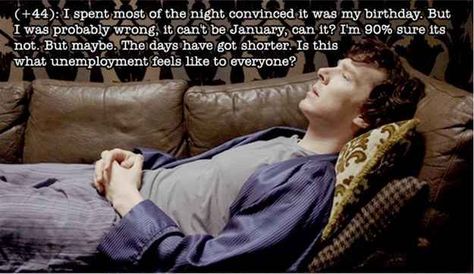 Sherlock Cumberbatch, Adorable Quotes, Texts From Last Night, Hee Hee, Jude Law, Short Words, Tv Quotes, Johnlock, Dynamic Duo