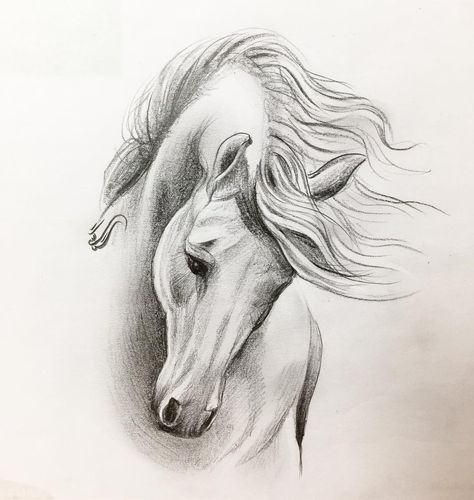 Equine Art Pencil Drawings, Horse Pencil Drawing, Horse Head Drawing, Artwork Pencil, Horse Art Drawing, Profile Drawing, Pencil Drawings Of Animals, Horse Sketch, Horse Tattoo