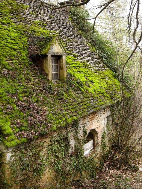 Moss covered Scottish cottage Mossy Cottage, Cottage In The Forest, Ancient Houses, Forest Aesthetic, Abandoned House, Abandoned Mansions, Old Building, Abandoned Buildings, Abandoned Houses