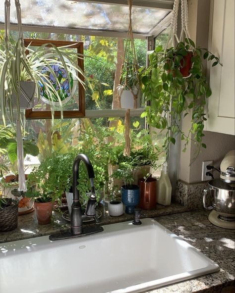 THE GILDED LILY THRIFT CO. | my kitchen window full of planty friends and so serene🌿 . especially during this time of the afternoon, when the house is silent & calm-… | Instagram House Plants In Window, Window Styling Ideas, Herbs In Kitchen Window, Garden Window Kitchen, Bealtaine Cottage, Gilded Lily, Peace And Calm, Kitchen Herbs, Growing Plants Indoors