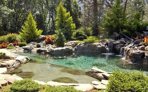 The rock and lovely planting choices for this lagoon style pool create a natural looking space that blends into the forested area behind. Very nice landscaping here. Find it at designingidea.com Lagoon Style Pool, Ideas De Piscina, Swimming Pool Pond, Natural Swimming Ponds, Swimming Pool Hot Tub, Lagoon Pool, Fountains Backyard, Pool Water Features, Swimming Lessons