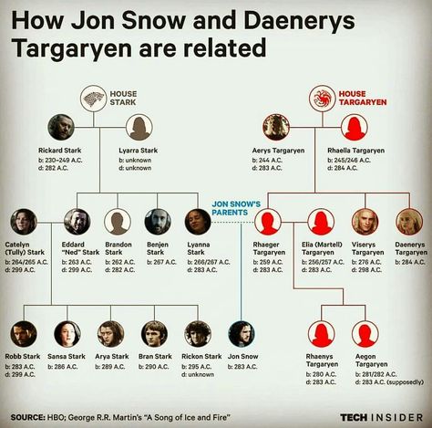 Stark And Targaryen Bloodlines Jon Snow Family Tree, Jon Snow Parents, Got Family Tree, King Jon Snow, Game Of Thrones Theories, Targaryen Family Tree, Daenerys And Jon, Game Of Thrones Meme, Jon Snow And Daenerys