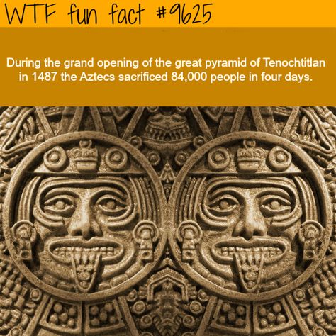 Aztecs - WTF fun fact Funny Weird Facts, What The Fact, Ancient Aztecs, Ancient History Facts, Unusual Facts, Facts Funny, History Facts Interesting, Mystery Of History, Mini Pizza