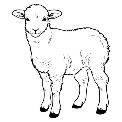 Cute sheep coloring page Lamb Template, Sheep Outline, Sheep Coloring Page, Lamb Drawing, Outline Pictures, Sheep Drawing, Rustic Painting, Linocut Printmaking, Cute Lamb