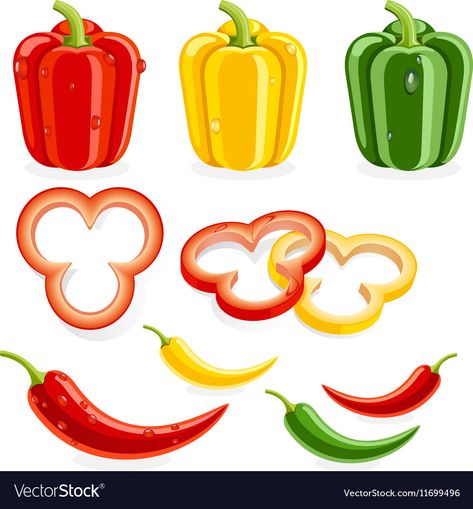 Peppers Illustration, Bell Pepper Drawing, Bell Pepper Art, Bell Pepper Illustration, Bell Pepper Reference, Stuffed Bell Pepers, Bell Pepper Pizza, Chili Pepper Clipart, Summer Crops