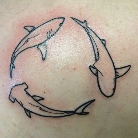 Shark Outline Tattoo, Simple Shark Tattoo, Shark Outline, Small Shark Tattoo, Outline Tattoo, Shark Tattoo, Ocean Tattoos, Shark Tattoos, Instagram Tattoo