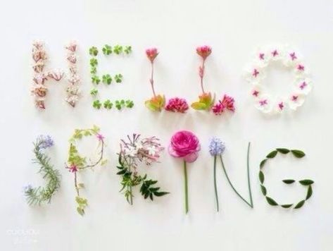 Hello Spring cute flowers springtime spring quotes happy spring hello spring spring is coming Gladioli, Spring Things, Spring Forward, Spring Equinox, First Day Of Spring, Spring Fever, Spring Is In The Air, Beltane, Spring Is Coming