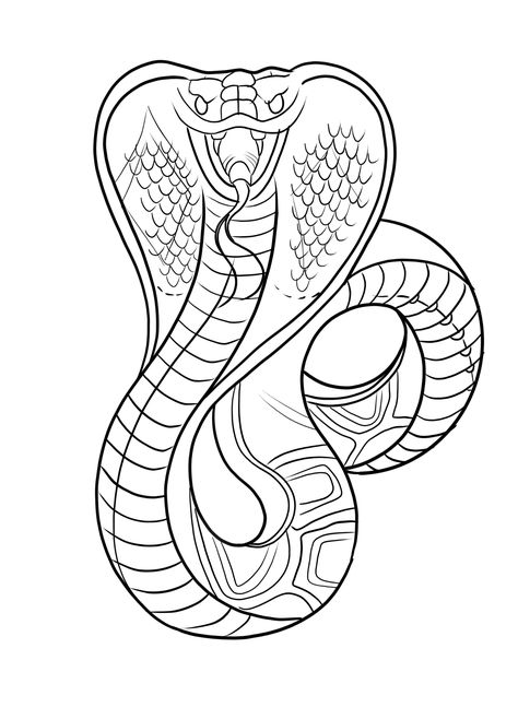 Evil Snake Drawing, Cobra Tattoo Stencil, Boa Snake Tattoo, Snake Face Drawing, Snake Drawing Tattoo, Snake Calf Tattoo, Snake Tattoo Stencil, Floral Snake Tattoo, Diamond Crown Tattoo