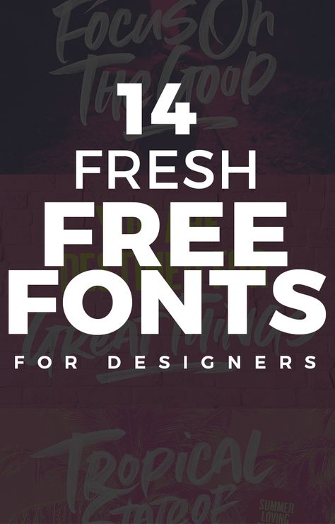 14 Fresh Free Fonts for Designers Best Free Fonts For Commercial Use, Trendy Free Fonts, Fonts For Flyers, Cool Fonts For Logos, Fonts For Logo Design, Free Typography Fonts, Best Fonts For Logos, Top Free Fonts, Modern Fonts Free