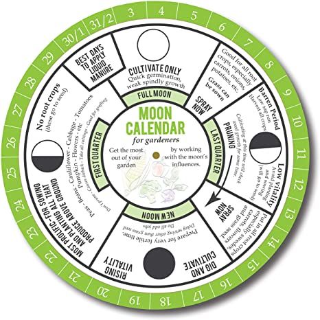 Amazon.com : Moon Calendar for Gardeners. Garden in Harmony with Phases of the Moon. Biodynamic Gardening Methods and Old Farmers Almanac use the Lunar Cycle for Planting. 365 Day Perpetual Moon Calendar Guide. : Office Products Biodynamic Gardening, The Phases Of The Moon, Planting Calendar, Farmers Almanac, Old Farmers Almanac, Garden Calendar, Moon Calendar, Phases Of The Moon, Lunar Cycle