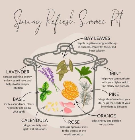 Spring Herbs Witchcraft, Simmer Pot Smells, Magick Simmer Pots, Easter Simmer Pot, Spell Simmer Pots, Relaxing Simmer Pot, Spring Time Simmer Pot, Calming Simmer Pot, Spiritual Simmer Pot