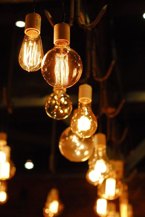 Solar Energy Diy, Antique Light Fixtures, Charlotte's Web, Vintage Light Bulbs, Filament Bulb Lighting, Nice Quotes, Edison Lighting, Thomas Edison, Steampunk Lamp