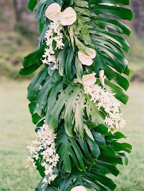 A close up of this GORGEOUS monstera leaf and white anthuriums arch that our couple exchanged vows under. It was right out of a hawaiian dream! Design by |Moana Events| #hawaii #monstera #anthurium #arch #weddingceremony #ceremonydecorations #hawaiiwedding #hawaiidecor #destinationwedding #destinationbride #hawaiianstlye #islanddecor Monstera Leaf Wedding Bouquet, Monstera Wedding Arch, Wedding Monstera Decoration, Palm Leaf Wedding Arch, Monstera Leaf Wedding Decor, Extended Island, Green Arrangements, Tropical Wedding Reception, Tropical Glam