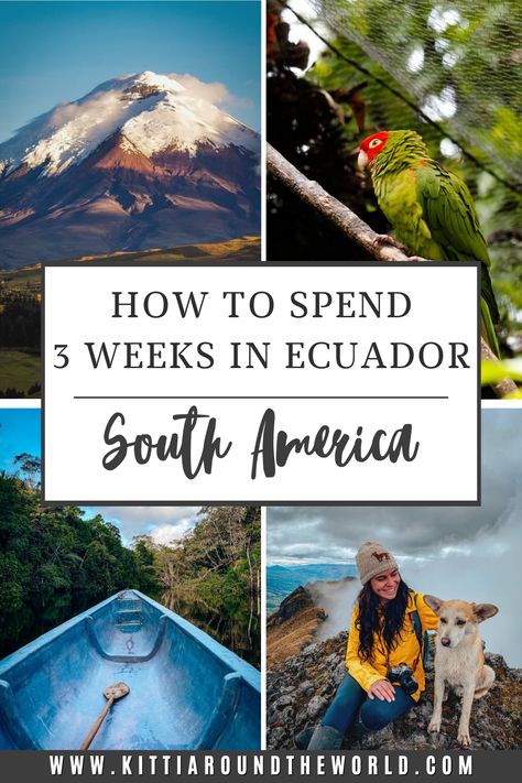 An itinerary on how to spend 3 weeks in mainland Ecuador visiting places such as Quito, Mindo, Otavalo, the Amazon Rainforest, Cotopaxi National Park, Banos, Quilatoa Crater Lake, and Cuenca. 3 Weeks Ecuador Itinerary | How to travel Ecuador | Best places to visit in Ecuador | Ecuador itinerary | How to plan a trip to Ecuador | Places to visit in Ecuador Ecuador Packing List, Ecuador Itinerary, Travel Ecuador, Cuenca Ecuador, Ecuador Travel, Travel Africa, 7 Continents, The Amazon Rainforest, Greece Travel Guide