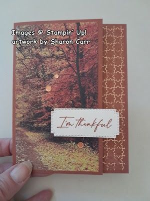 Gratitude Cards, Autumn Cards, Carte Halloween, Easy Cards, Leaf Cards, Fall Mini, Fold Cards, Su Cards, Autumn Beauty