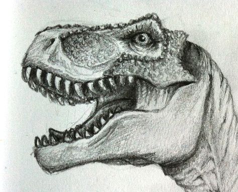 Sketch T-Rex Head Rex Drawing, Dinosaur Sketch, Dinosaur Head, Dinosaur Tattoos, Indominus Rex, Pencil Drawings Of Animals, Dinosaur Drawing, Jurassic World Fallen Kingdom, Jurassic World Dinosaurs