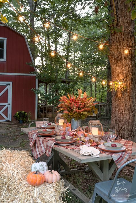 Fall Plaid Outdoor Harvest Tablescape Backyard Table, Table Settings Tips, Fall Harvest Party, Fall Picnic, Harvest Party, Fall Bridal Shower, Hay Bales, Fall Tablescapes, Fall Plaid