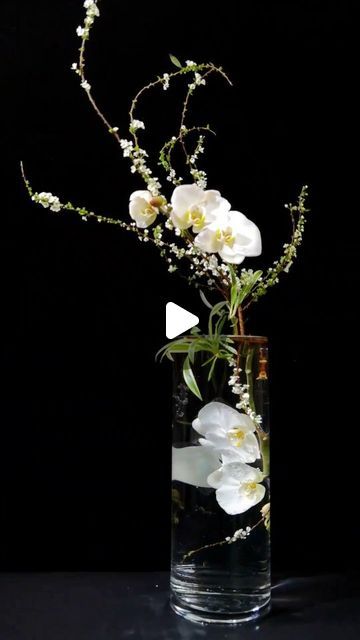 extreme on Instagram: ""Embrace the purity of white with this mesmerizing flower arrangement. Each petal whispers serenity, while the arrangement exudes elegance and grace. Let the delicate blooms transport you to a realm of tranquillity and beauty. #WhiteFlowerMagic #EleganceInBloom #SerenityInWhite #FloralArtistry #PureAndBeautiful #BloomsOfGrace #InstaFlowers #FlowerArrangement #WhiteFlowerLove #FlowerPower" Elegant Flower Arrangements, Travel Portugal, Creative Flower Arrangements, Arrangement Ideas, Garden Terrarium, Flower Arranging, Flower Quotes, April 12, Elegant Flowers