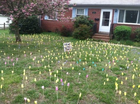 1000 Peeps skewered and peeped in a friends yard.  Prank well done! #Peeps #Peeped #getwellsoon #PSCHR Yard Pranks, Prank Ideas, Perfect Beard, Beautiful Storage, Getting Him Back, Fitness Gifts, Lost Art, April Fools, Travel Set