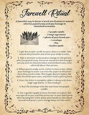 Follow this simple ritual to honor a deceased relative or family member, even a dog or cat (spell for dead animal). Remember and honor the time spent with a departed loved one with sage, a purple candle, and some more ingredients. Cleaning With Florida Water, What Is Florida Water, Homemade Florida Water, Homemade Florida Water Recipe, Uses For Florida Water, Dew Water Witchcraft, Florida Water Benefits, Sun Water Uses, How To Use Florida Water